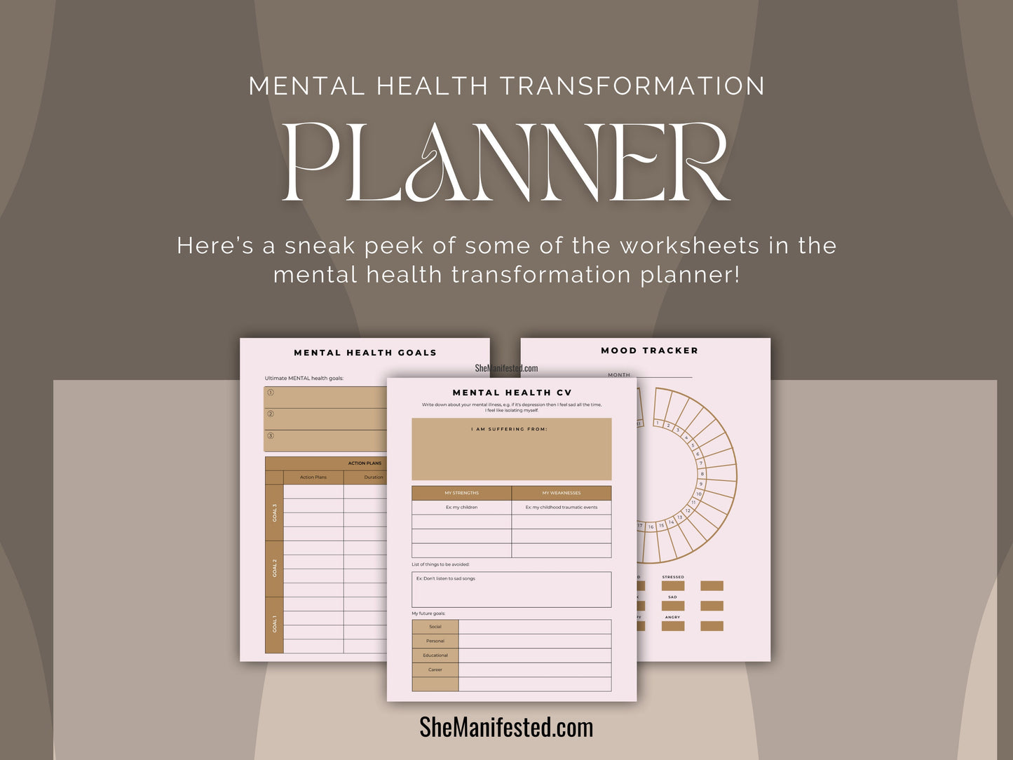 The Mental Health Transformation Planner
